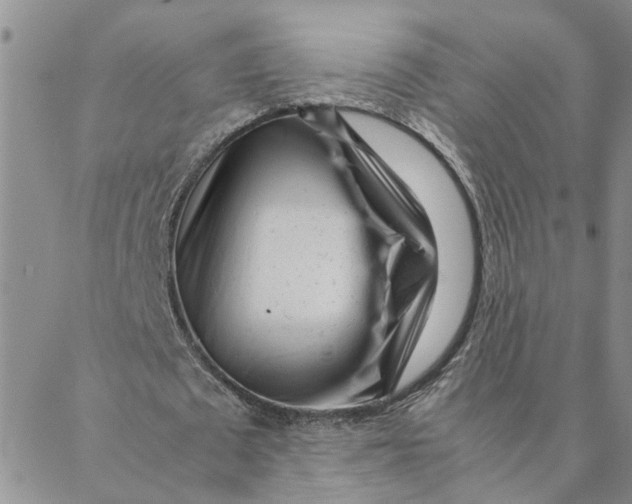 X0000088360673200706121056