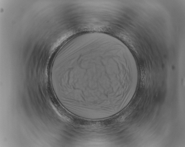 X0000088360674200706121056