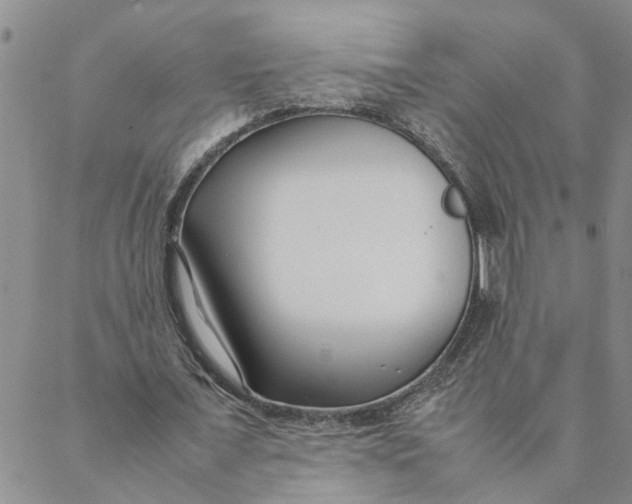 X0000088360675200706121056