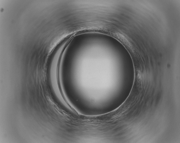 X0000088360676200706121056