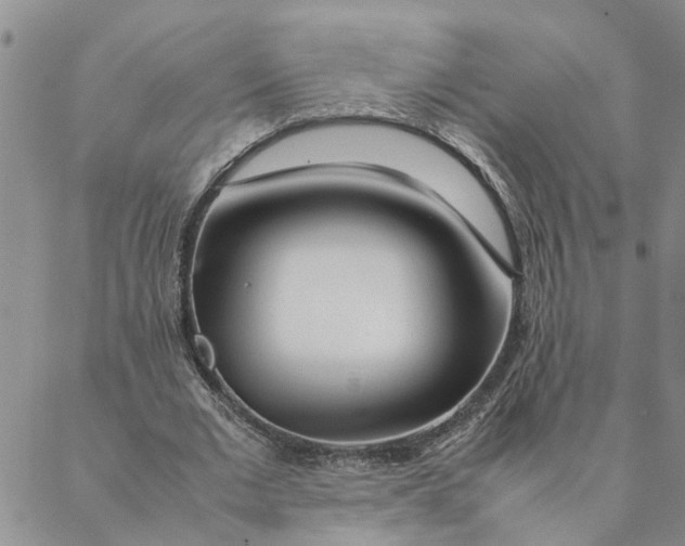 X0000088360677200706121056