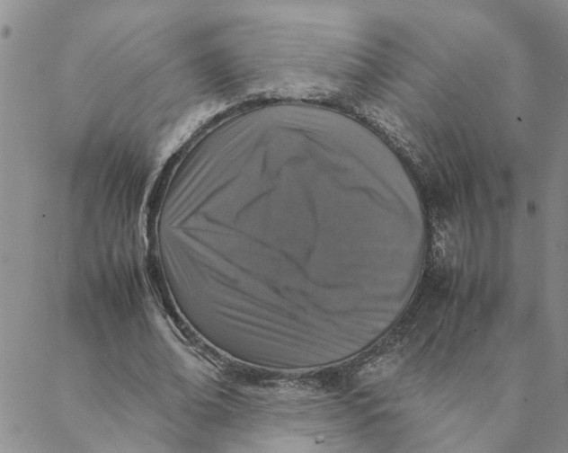 X0000088360678200706121056