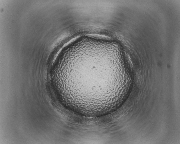 X0000088360679200706121056