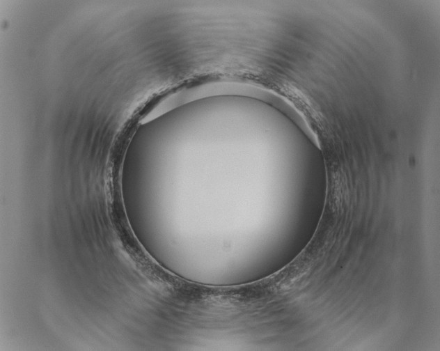 X0000088360680200706121056