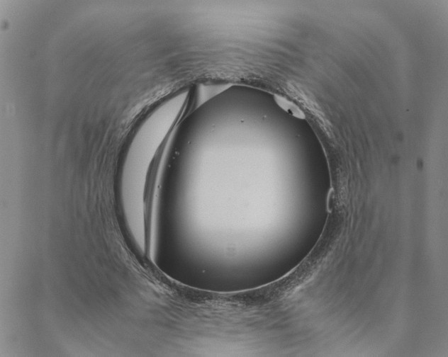 X0000088360681200706121056