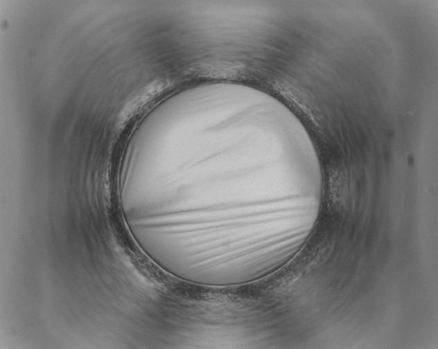 X0000088360682200706121056