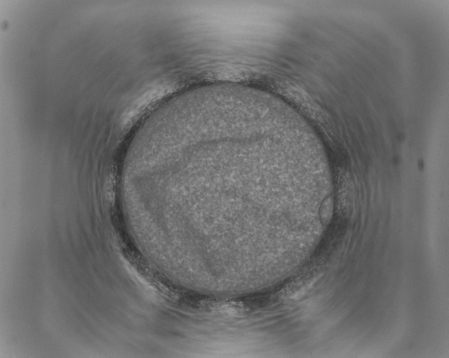 X0000088360683200706121055