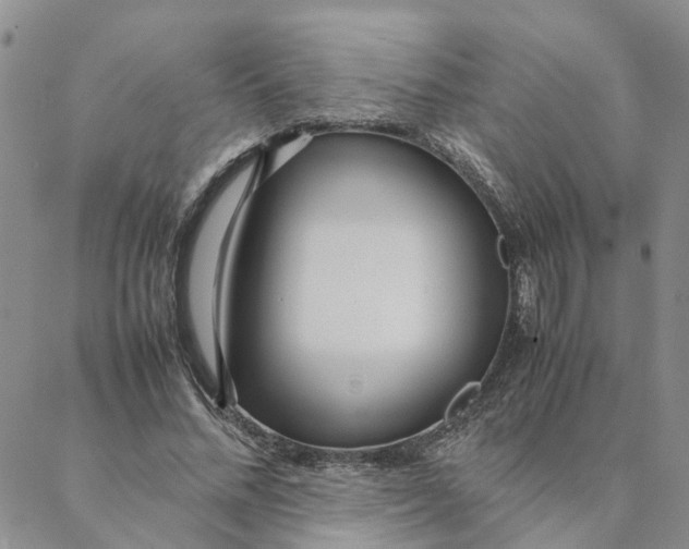 X0000088360684200706121055