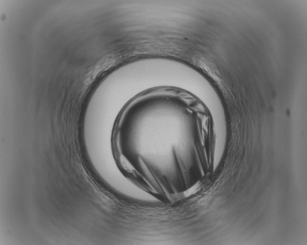 X0000088360685200706121055