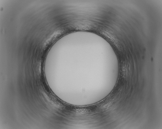 X0000088360686200706121055