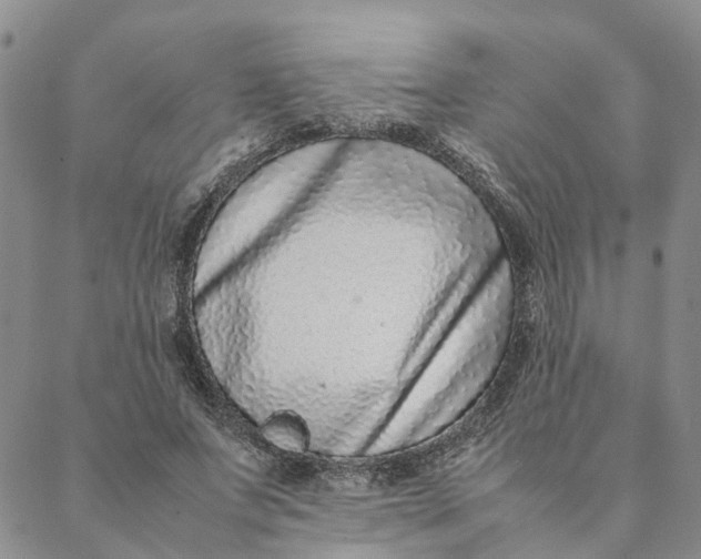 X0000088360687200706121055