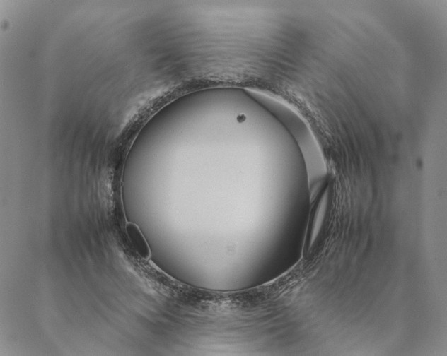 X0000088360688200706121055