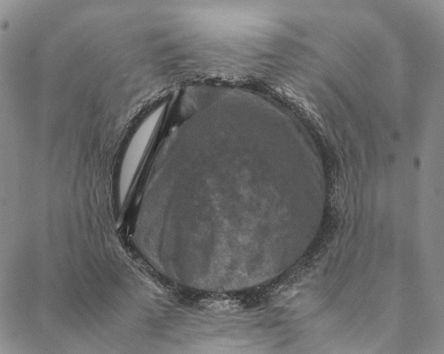 X0000088360689200706121055