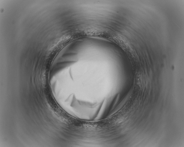 X0000088360690200706121055