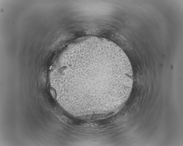 X0000088360691200706121055