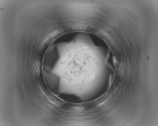 X0000088360692200706121055