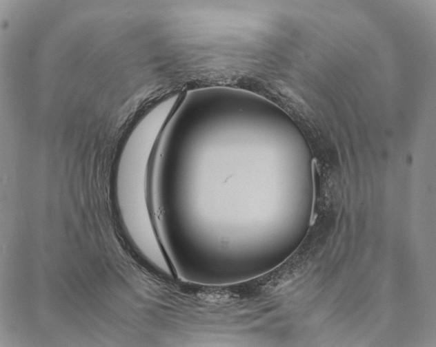 X0000088360693200706121055