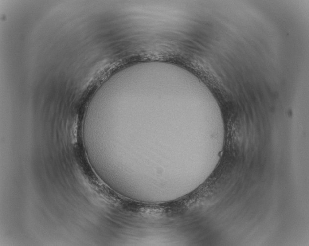 X0000088360694200706121055