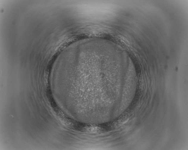 X0000088360695200706121055