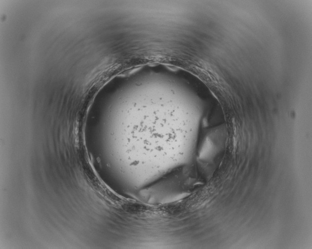 X0000088360696200706121055