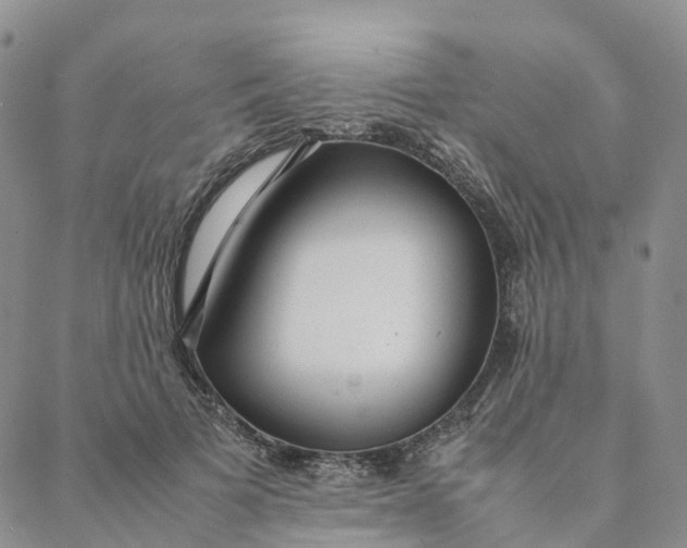 X0000088360697200706121055