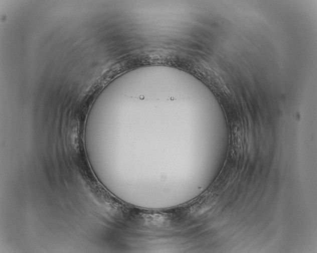 X0000088360698200706121055