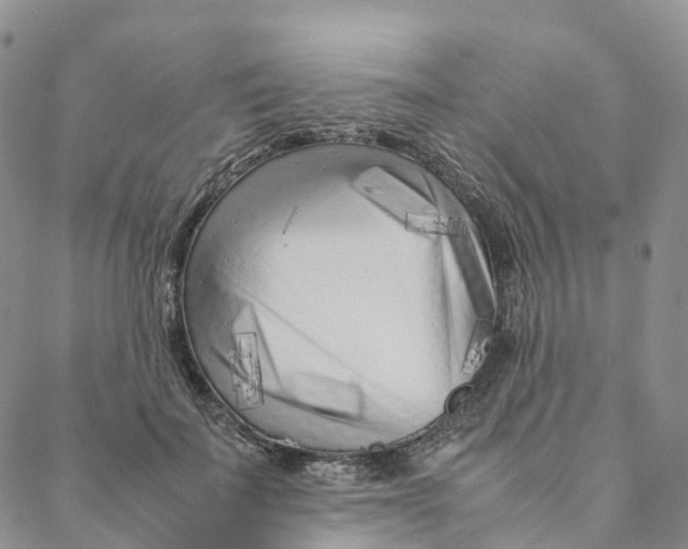 X0000088360699200706121055