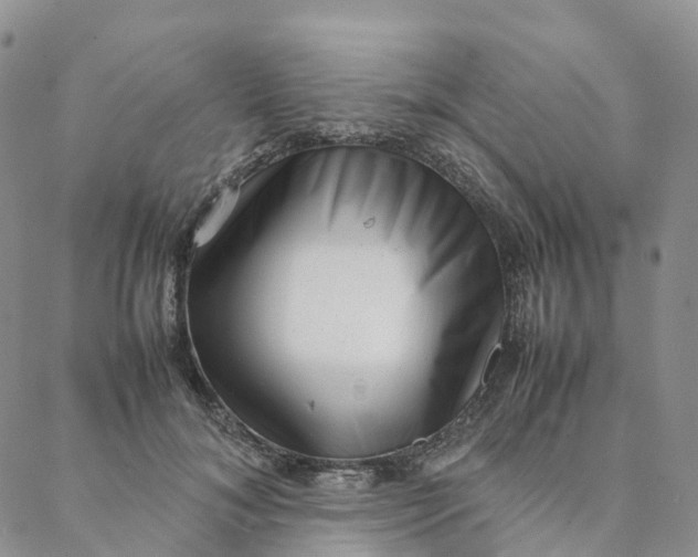 X0000088360700200706121055