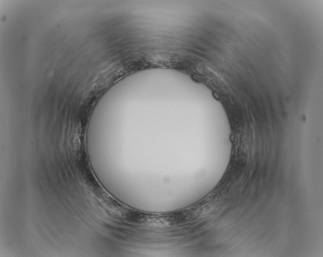 X0000088360702200706121055