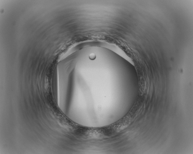 X0000088360704200706121055