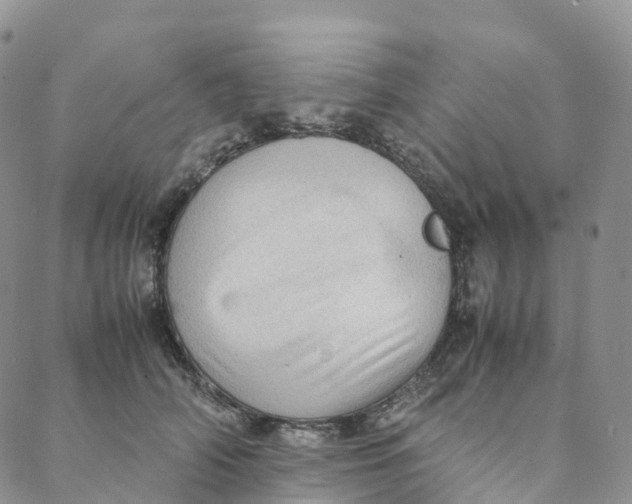 X0000088360706200706121055