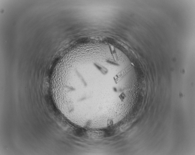 X0000088360707200706121055