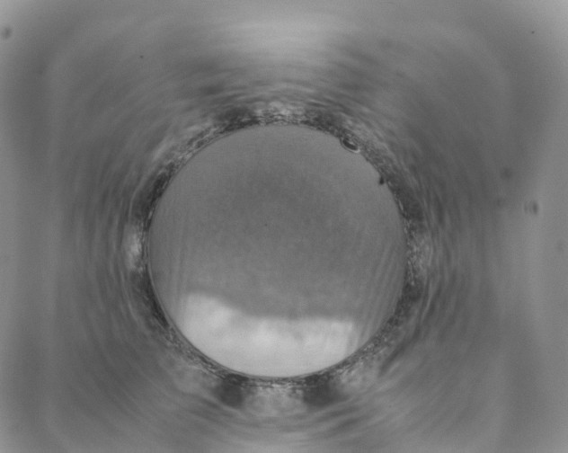 X0000088360709200706121055