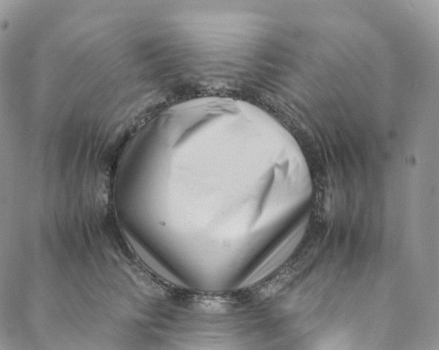 X0000088360710200706121055