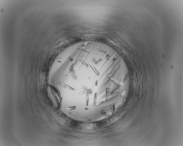 X0000088360711200706121055