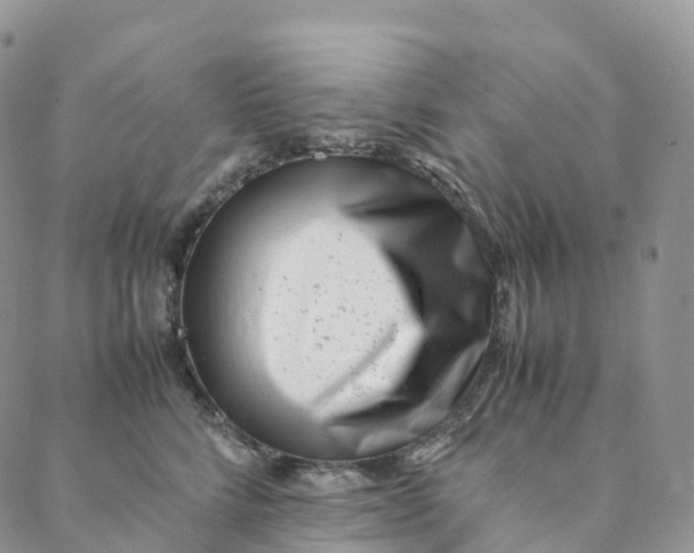 X0000088360712200706121055