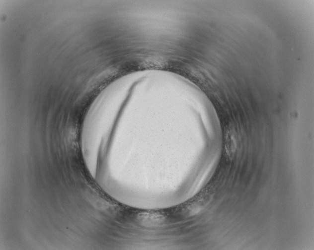 X0000088360714200706121055