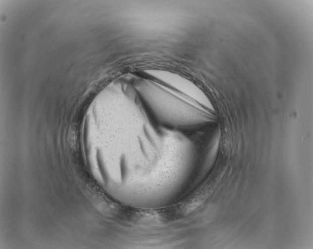 X0000088360715200706121055