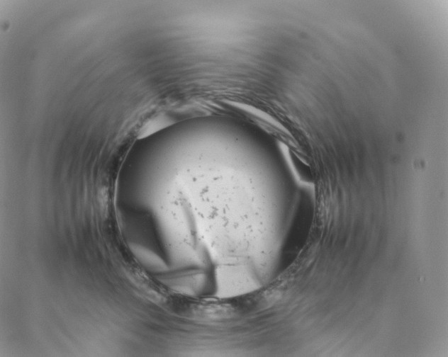 X0000088360716200706121055