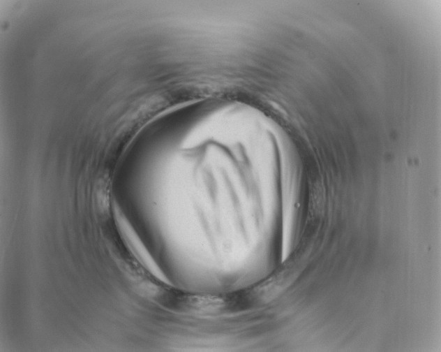 X0000088360719200706121055