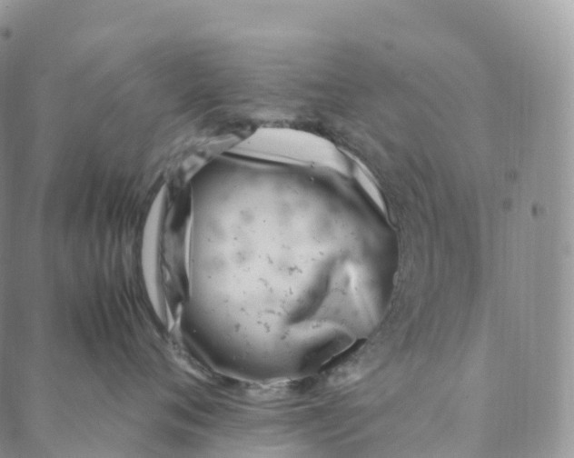 X0000088360720200706121055