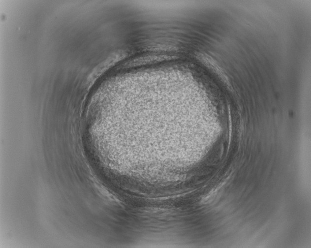 X0000088360721200706121054