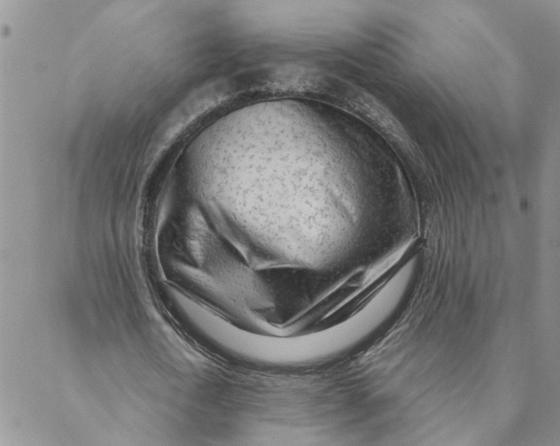 X0000088360722200706121054