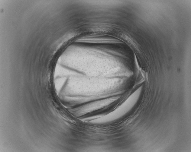 X0000088360723200706121054