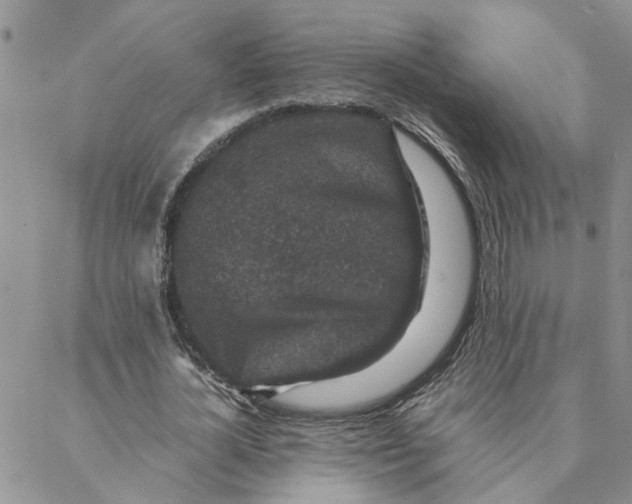 X0000088360724200706121054