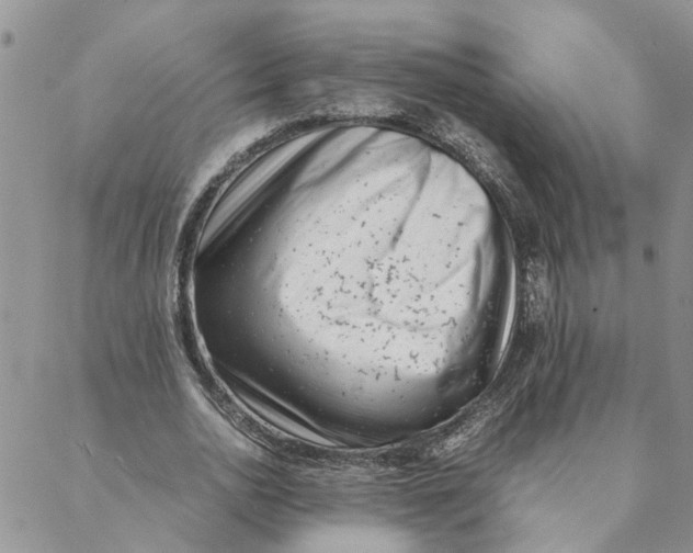 X0000088360726200706121054