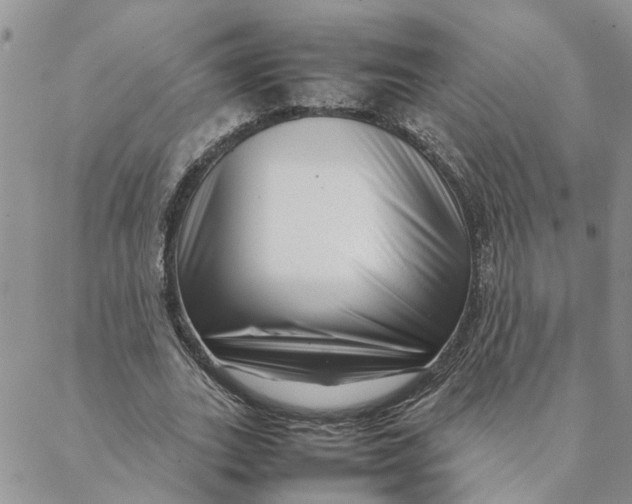 X0000088360727200706121054