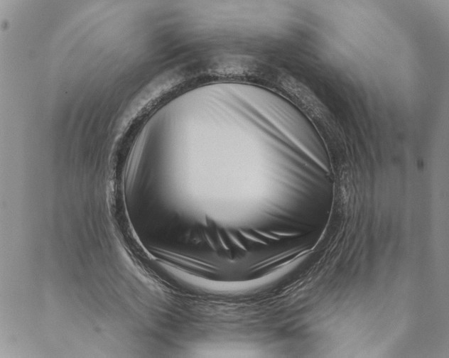 X0000088360728200706121054