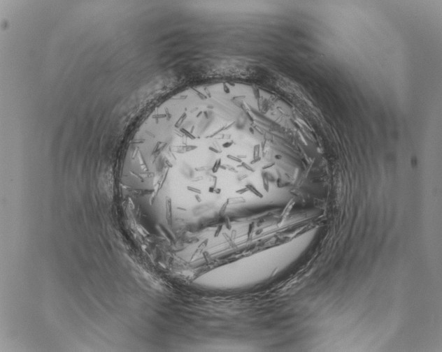 X0000088360729200706121054