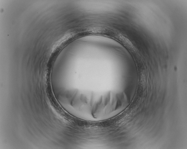 X0000088360730200706121054